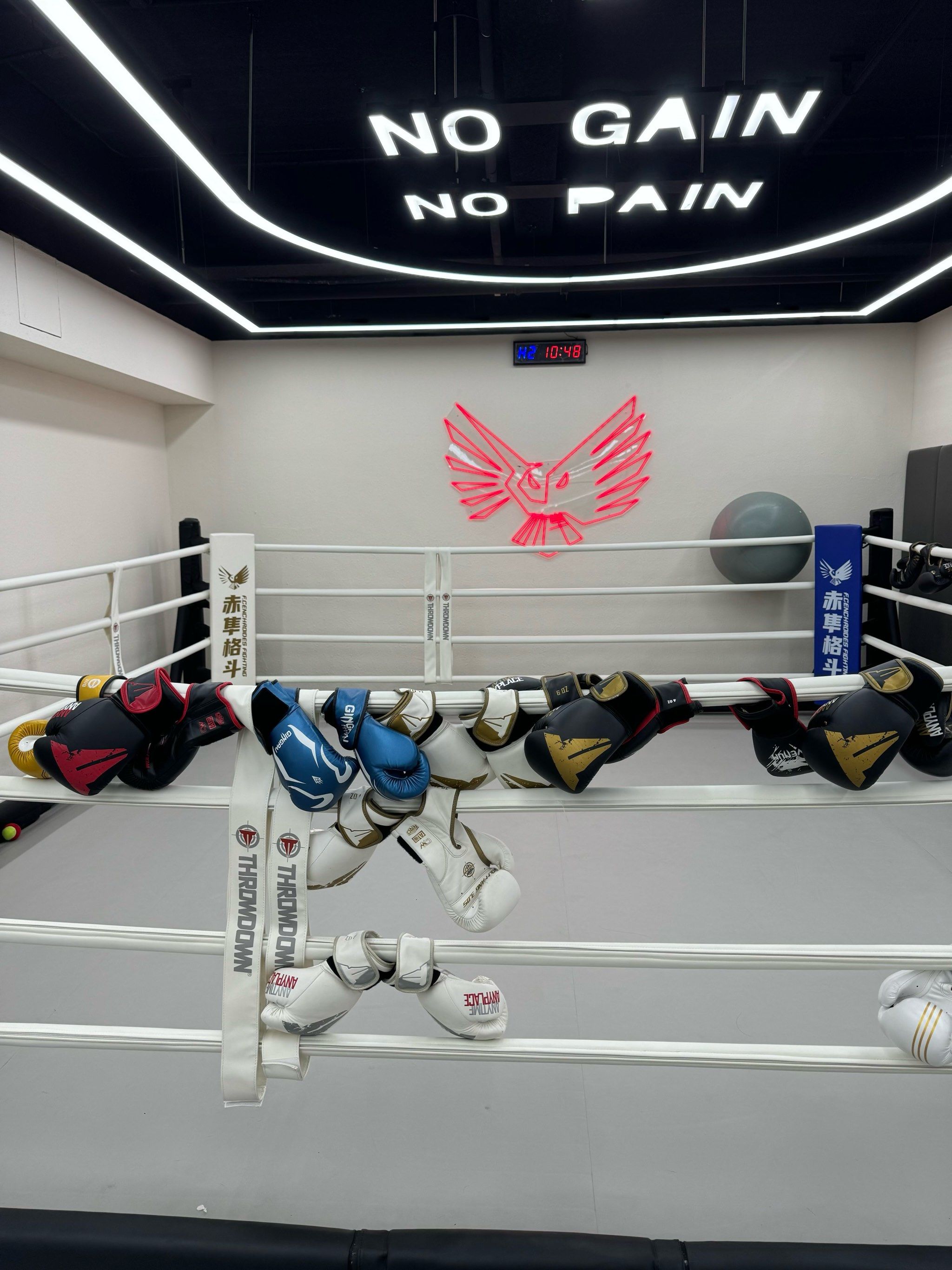 包含达拉斯独行侠训练开放日，清晨内部沟通引欢呼，社区盾在即，训练强度明显提升的词条